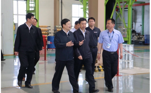省人大常委會(huì)黨組副書(shū)記王良一行來(lái)寶豐公司調(diào)研
